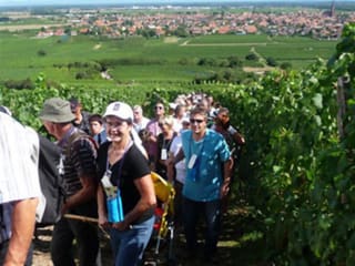 Le Sentier Gourmand de Scherwiller